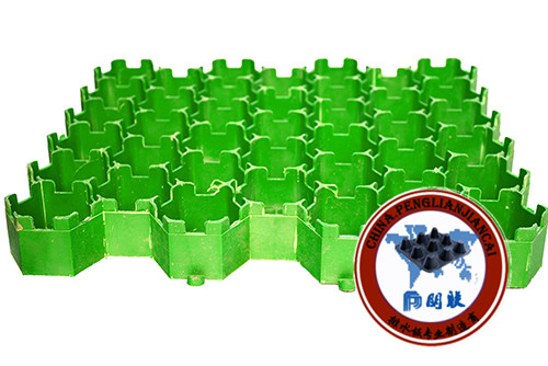 塑料植草格http://www.ay405.cn/